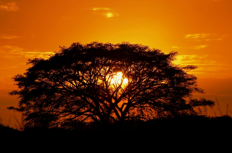 Puesta de Sol a orillas de la carretera a la Playa de Casares y La Boquita, Carazo, Nicaragua.