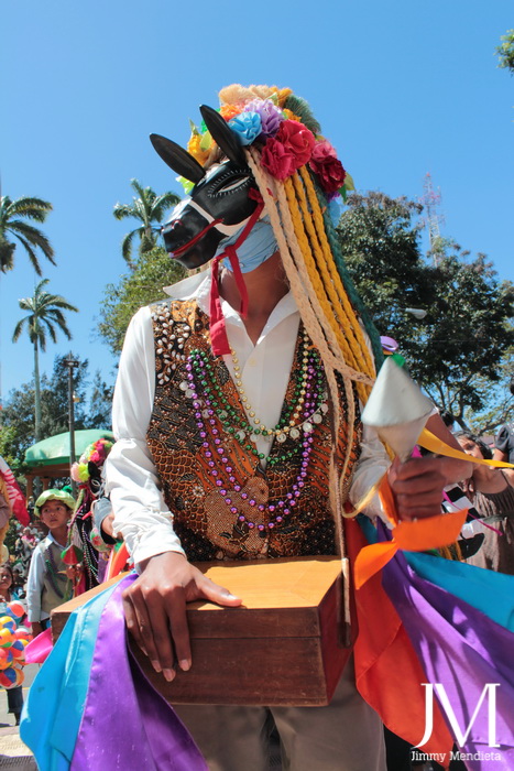 fiesta-patronal-de-san-sebastian-2013-7